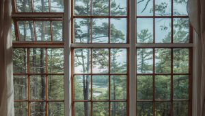 Read more about the article Hvorfor vinduer og døre af høj kvalitet er vigtige 