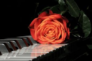 Read more about the article Guide til de 5 bedste mærker af digitale klaverer