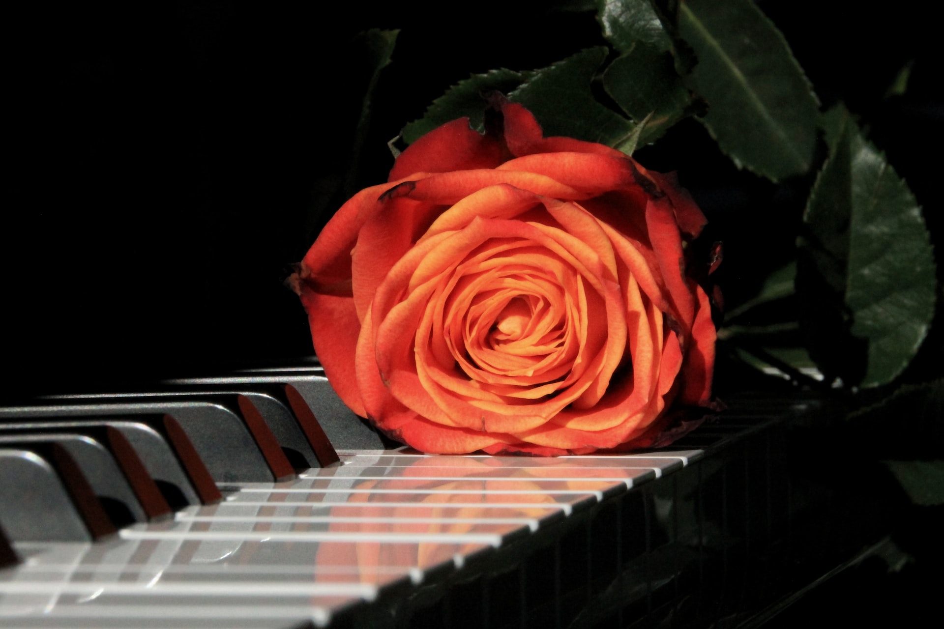 You are currently viewing Guide til de 5 bedste mærker af digitale klaverer