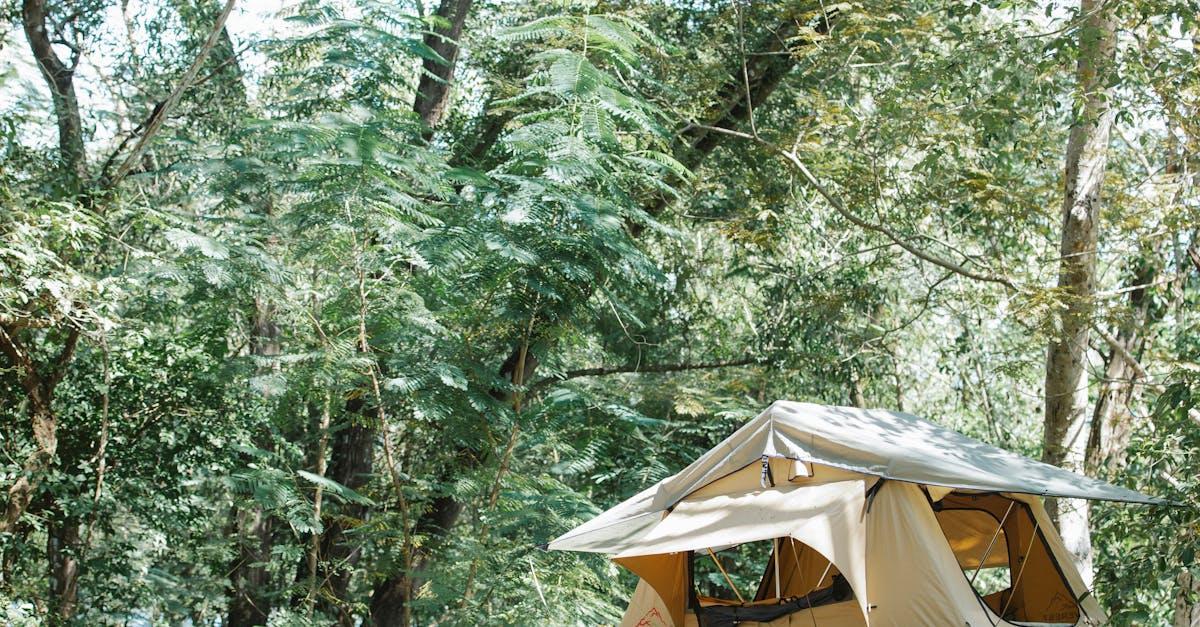 Read more about the article Find den rette campingplads: Tre tips til en uforglemmelig oplevelse